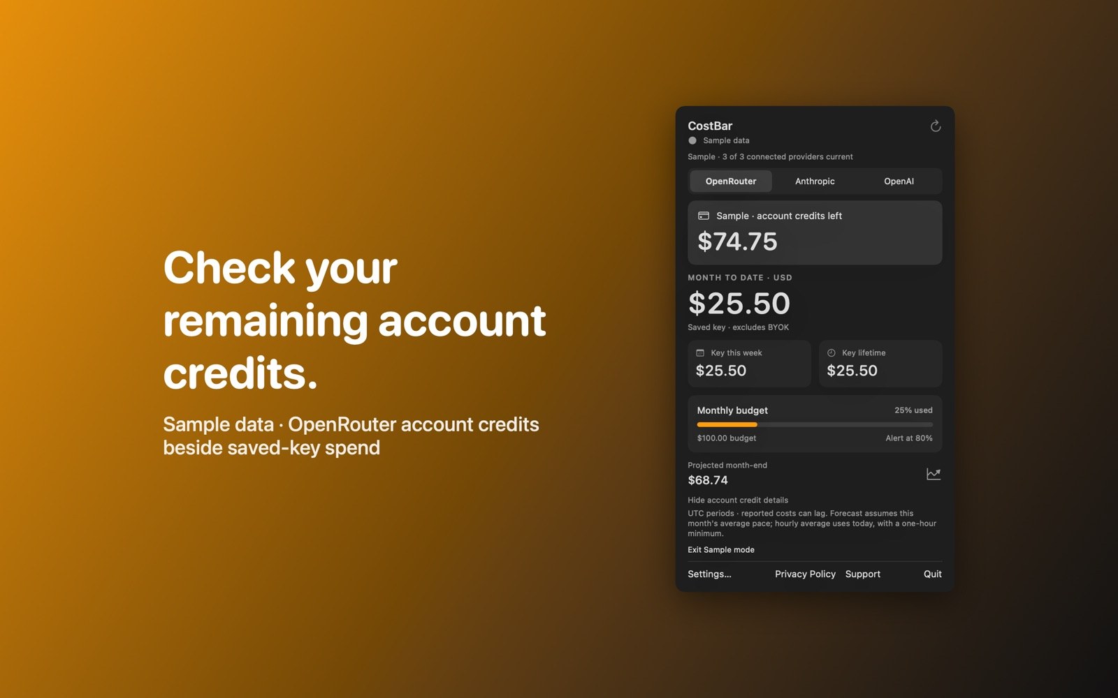 Sample OpenRouter account credits shown above saved-key spending.